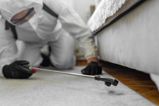 Professional Emergency Pest Control technician working in Niagara University, NY