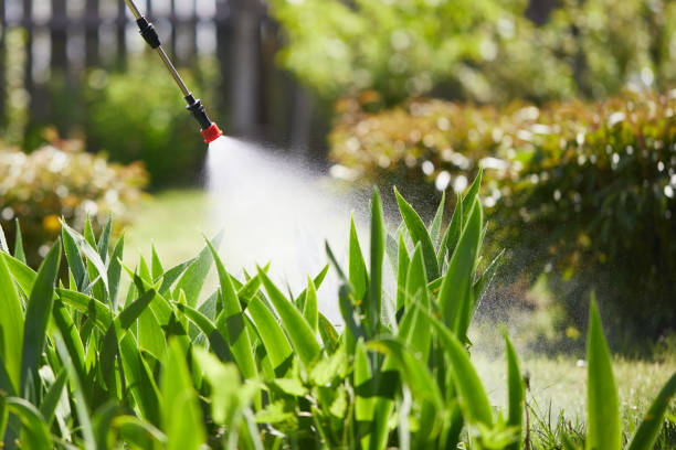 24/7 Emergency Emergency Pest Control experts in Niagara University, NY
