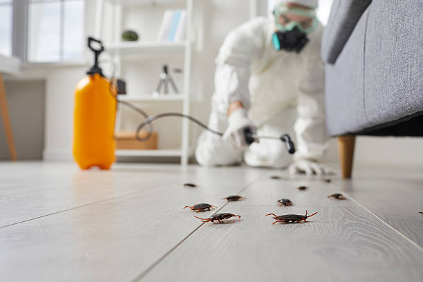 Trusted Cockroach Control service in Niagara University, NY - Nex Pest Control