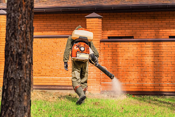Trusted Bed Bug Control service in Niagara University, NY - Nex Pest Control